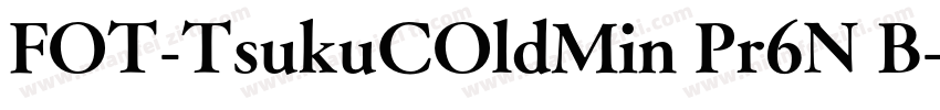 FOT-TsukuCOldMin Pr6N B字体转换